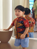 Boy's Shirt 2 years old